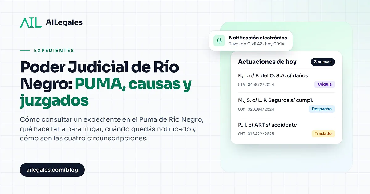 Poder Judicial de Río Negro: PUMA, causas y juzgados